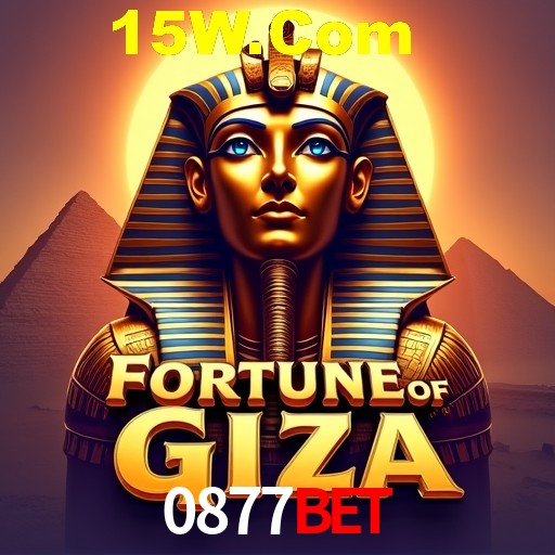 0877Bet Rio de Janeiro - Bonus Terms